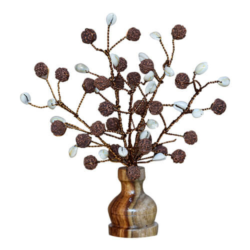Rudraksha Tree (54 Beads Multicolor)
