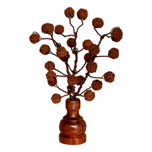 Rudraksha Tree (27 Beads Natural)